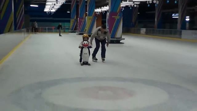 Pinguino тренажер смотреть онлайн