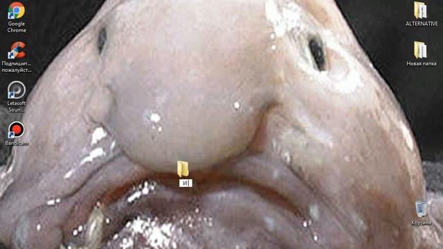 Слив аккаунта в cs 1.6 смотреть онлайн