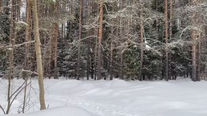 СВЕКРОВЬ РЕШИЛА ПРОДАТЬ ДАЧУ НЕВЕСТКИ... | Истории из жизни.