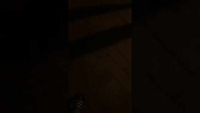 Nascondino nella giungla Pokemonepisodio 1