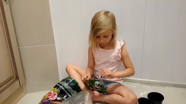 Садим траву для кота смотреть онлайн