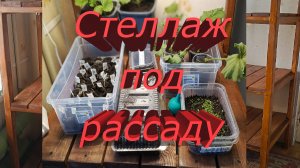 Стеллаж под рассаду. Своими руками. Для дома или квартиры. Из дерева. Стеллаж-этажерка.