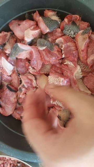 мясной фарш для собак смотреть онлайн