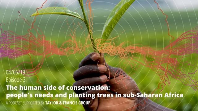 Episode 3: Seline Meijer - The human side of conservation in sub-Saharan Africa смотреть онлайн