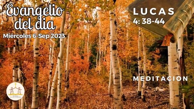 Lucas 4, 38-44. Miércoles 6/9/2023. P. Fabián Esteban Oliva смотреть онлайн