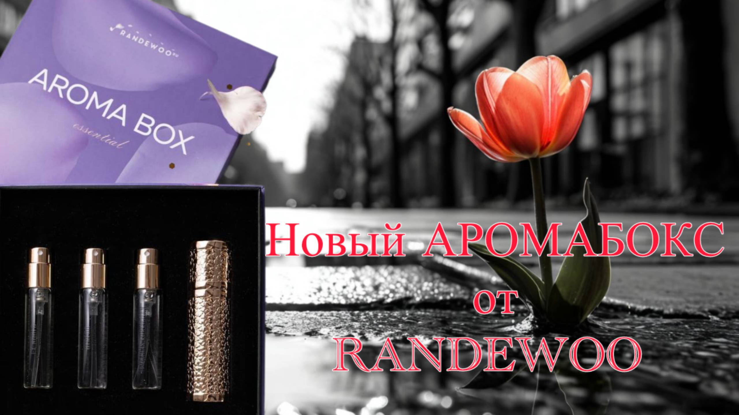 Грандиозный сюрприз от RANDEWOO.RU!  AROMA BOX - ESSENTIAL. Ваш уникальный парфюмерный набор.