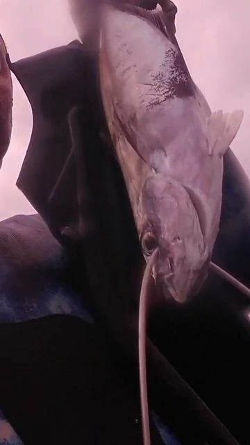 Anti Zero White Trevally смотреть онлайн