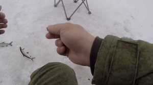 ЛОВОЗЕРО.СИГ. НАЛИМ. НЕОЖИДАННАЯ ПОКЛЕВКА.