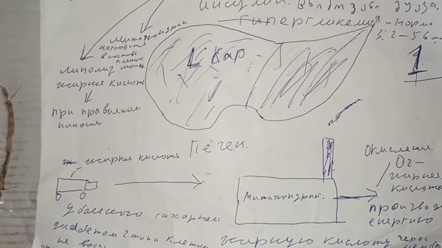 Детоксикация больной жирной печени