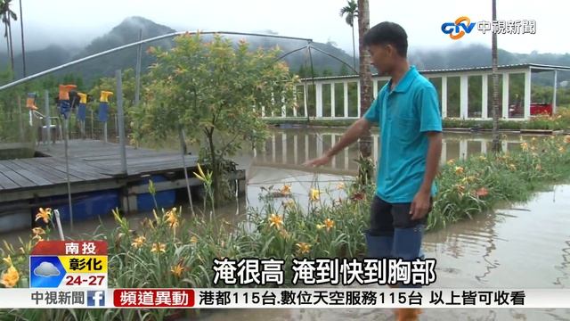 日月潭驟雨攪局 金針花泡湯成花"海"│中視新聞 20170524 смотреть онлайн