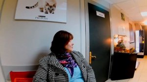 Мейн кун.Прививка котенка в 1месяц.