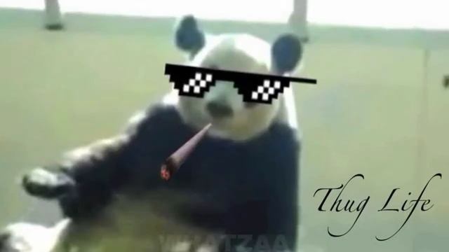 cover/remix of Desiigner panda song смотреть онлайн