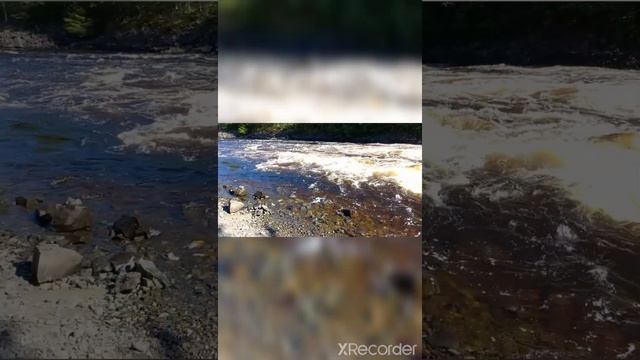 Поездка в Петрозаводск лето 2022 смотреть онлайн