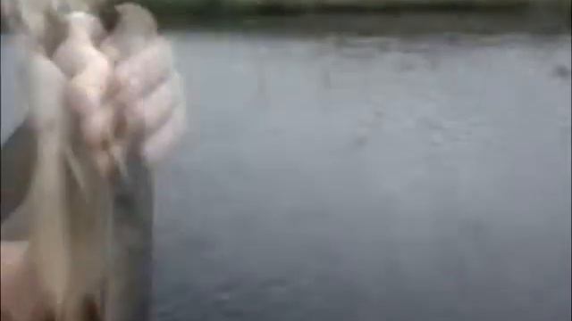 Язь - идиот смотреть онлайн