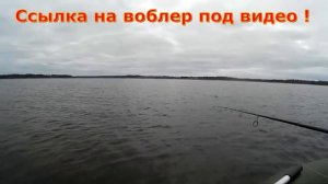 Ловля щуки осенью. Твичинг Realis Jerkbait . Китайский воблер с AliExpress