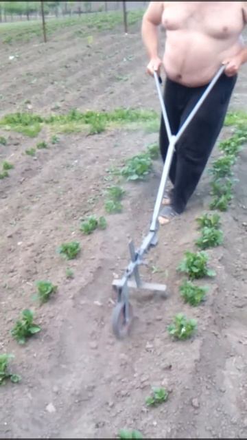 Приспособа для прополки картофеля смотреть онлайн