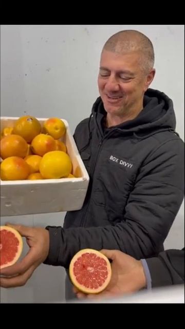 Moussa Market Update 8 July 2022 смотреть онлайн