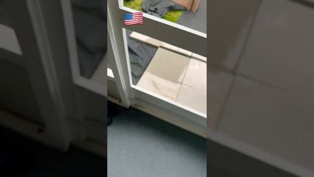 Муравьи в доме за полмиллиона Флорида! usa florida orlando americanhusband