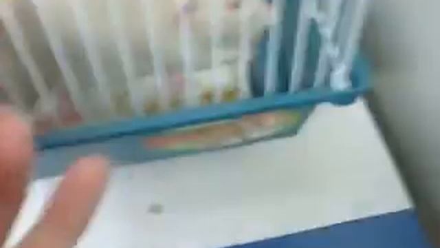 Крыски очень любят хлеб. смотреть онлайн