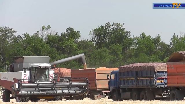 Уборочная страда в Зерноградском районе смотреть онлайн