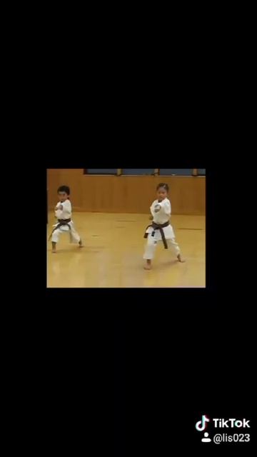 Кисловодск Школа карате начало преподавания 1 смотреть онлайн