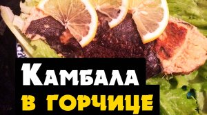 Камбала запеченная в духовке - как запекать вкусную камбалу с горчицей, быстро с лимоном в фольге