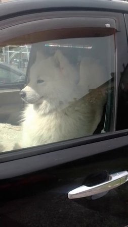 Лучшии водитель в мире☺️
