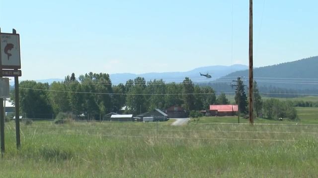 Investigation into fatal Orvando grizzly bear attack continues смотреть онлайн