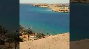 Шарм Эль Шейх 
альбатрос Аква Блю 
отель Albatros Aqua Blu resort Sharm El Sheikh!
Египет