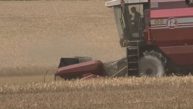 уборка озимой пшеницы 2018 смотреть онлайн