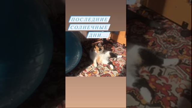 Отпуск. День первый. смотреть онлайн