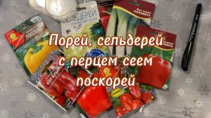 Открытие садового сезона 2025. Сеем перцы, лук-порей и сельдерей
