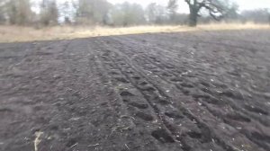 Посадка чеснока в декабре.