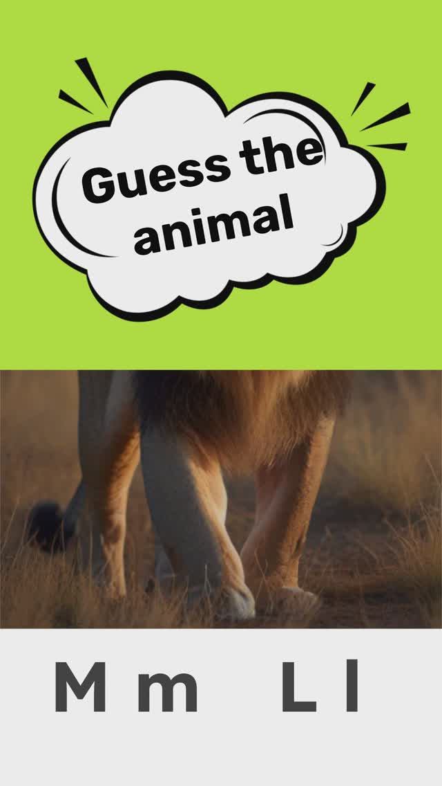 Угадайте животное и выберите букву, с которой оно начинается смотреть онлайн