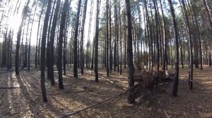 Фаертаг-Клуб Авангард Тюмень Игра 06 10 19