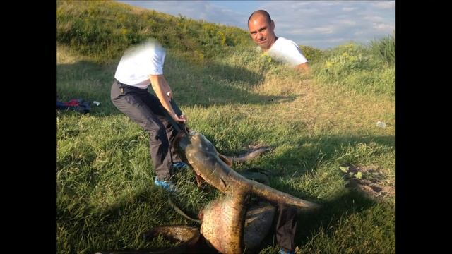 Balta Pupaza, Iunie 2015 смотреть онлайн