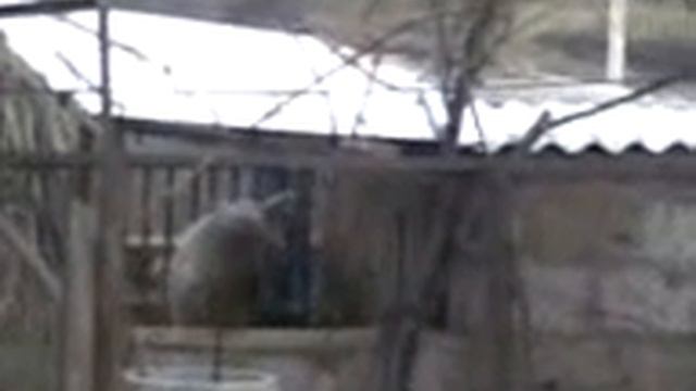 MORQURI XOZER@ смотреть онлайн