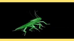 Таракан Сергей танцует под музыку Татарстан Супер Гуд ! |