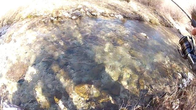 Kırmızı Benekli Alabalık Peşinde  | Trout Fishing | Alabalık Avı Teknikleri смотреть онлайн