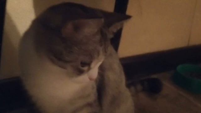 Рыбов! рыбов! смотреть онлайн