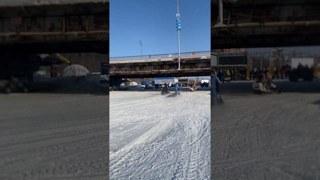 День оленевода Новый Уренгой