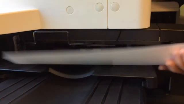 Deep Sea Episode 1 Box Jellyfish смотреть онлайн