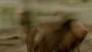 Lobisomem Filme completo dublado HD!..