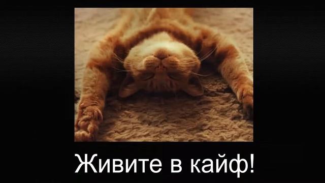 Салам Молодёжь - Доброе Утро, нет ЛП, пацаныыыы!!! смотреть онлайн