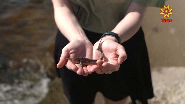 Пулă лĕккине - Атăла смотреть онлайн