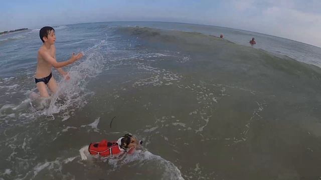 Поездка на море Скадовск 2021 смотреть онлайн