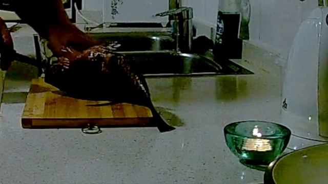 Готуемо і смакуемо Gruper смотреть онлайн