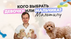 Кого выбрать мальчика или девочку?