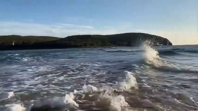 Шкота смотреть онлайн