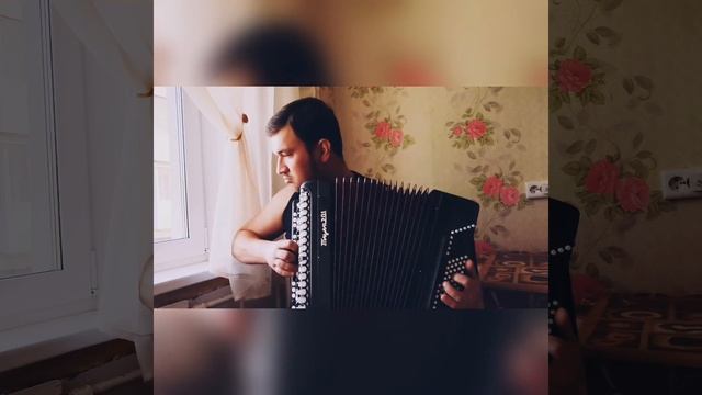 Звери - Напитки покрепче (кавер на баяне ) смотреть онлайн